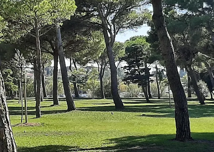 Entre Port Et Village