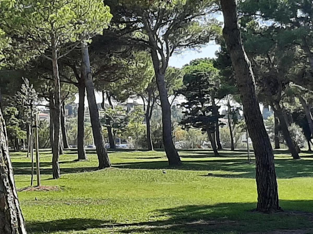 Apartment Entre Port Et Village